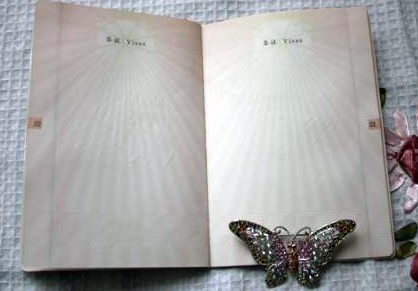 中国护照过期了怎么注销掉,中国护照被注销意味着什么