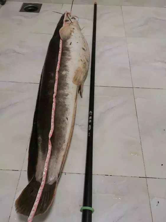 本汀天狐斩月刀裸棍版什么样,本汀裸棍好用吗