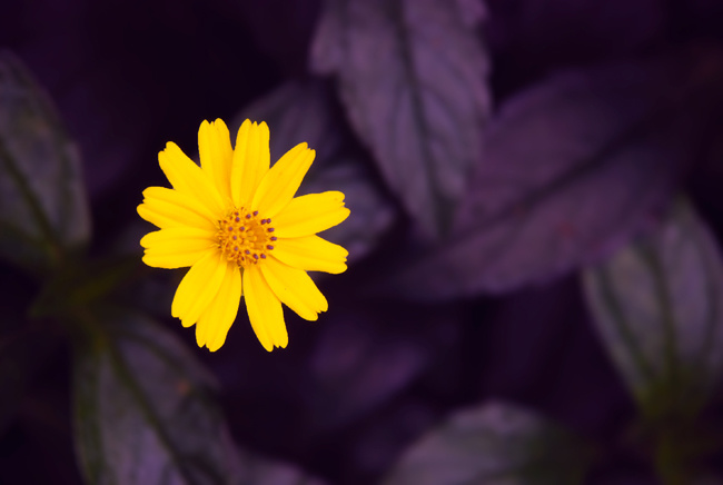 过于替别人着想的句子,过分的替别人着想