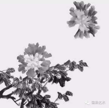 写意牡丹的画法步骤视频教程,王雪涛写意牡丹画法视频大全