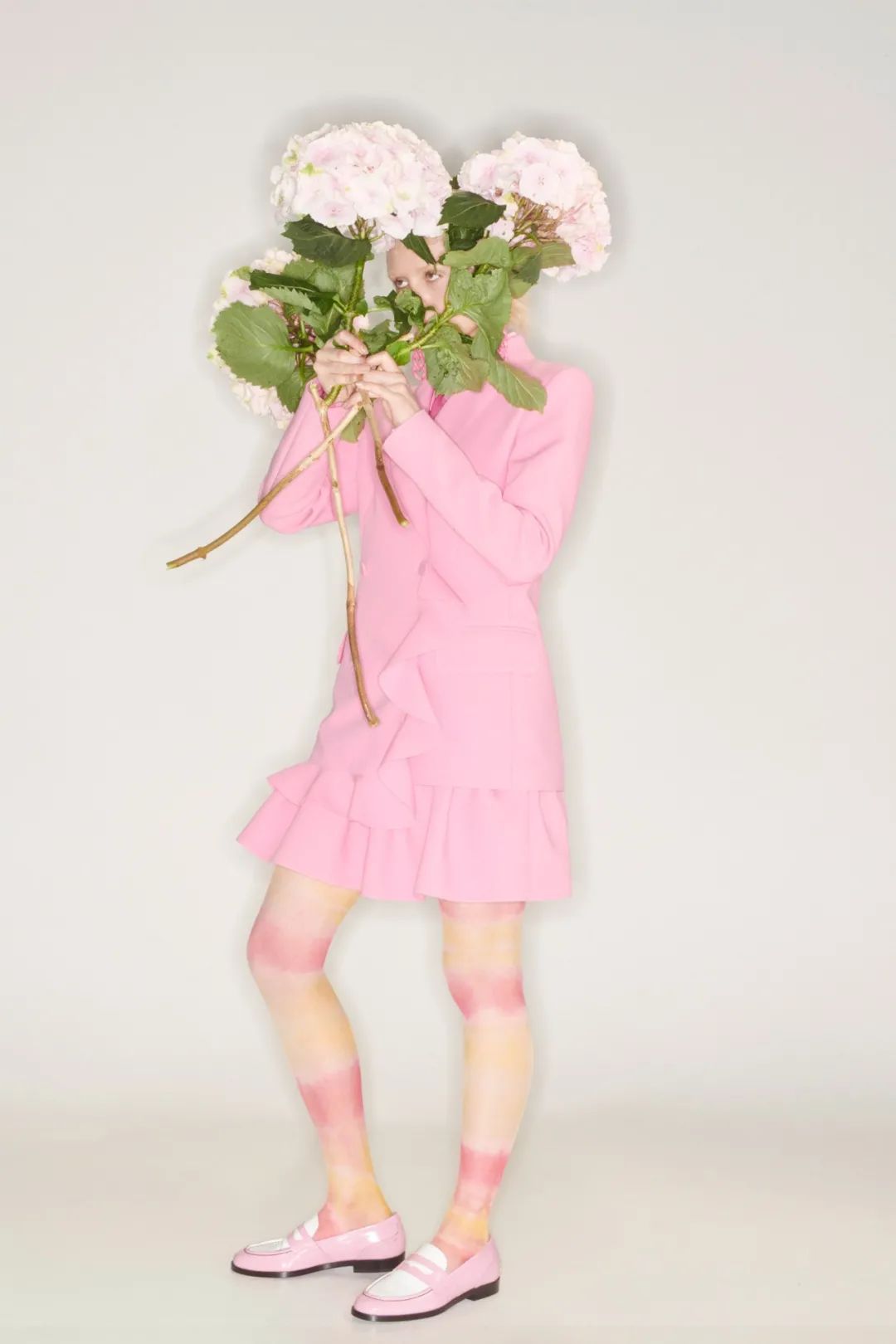 dailybrand鍥捐В,dailybrand