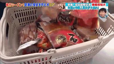 简化签证、0关税、游客骤增！赴日带东西需谨慎