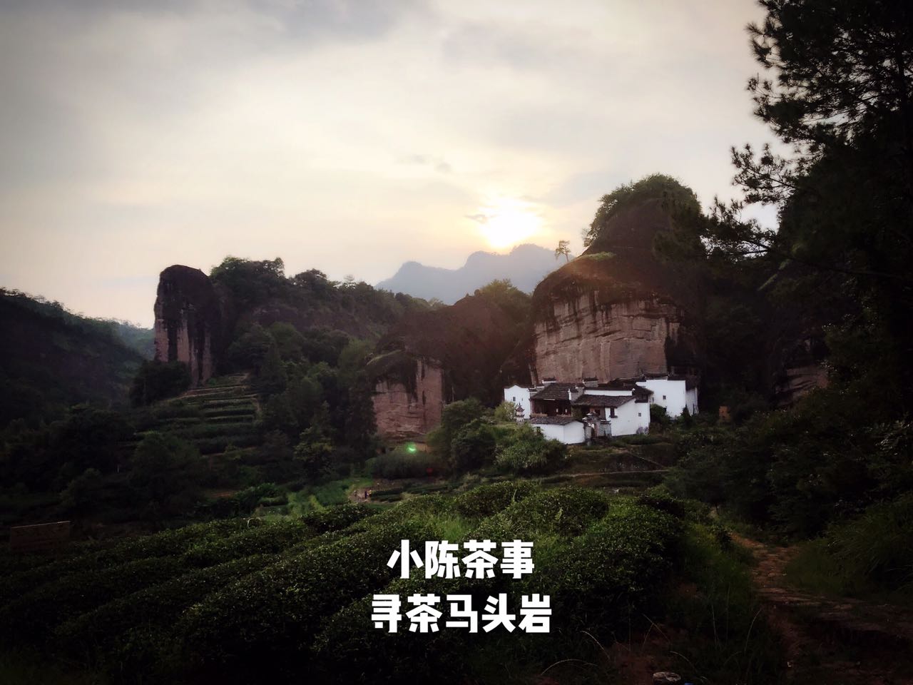 品武夷岩茶几大要领,如何品一杯武夷岩茶的好坏