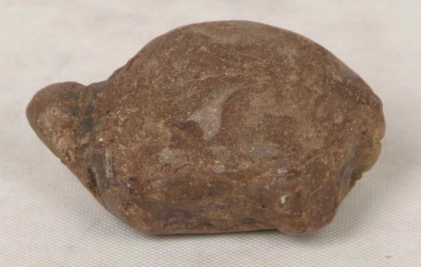 狗贩子收老狗怎么处理,九年高龄的老狗会被狗贩子卖到哪