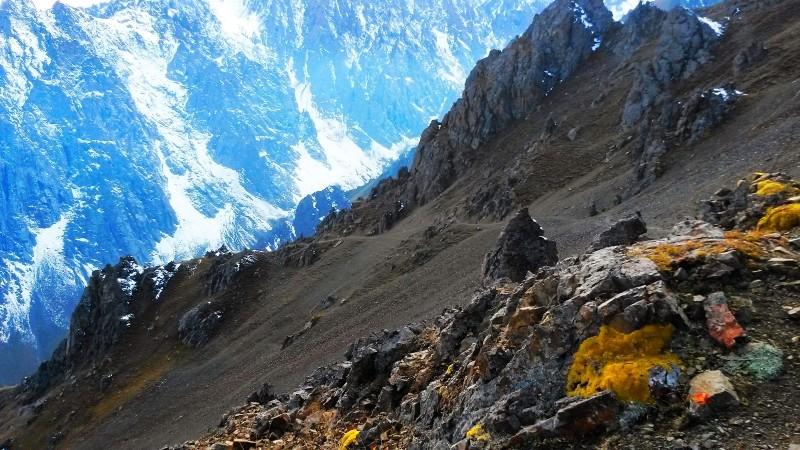 带上UL从狼塔C回家