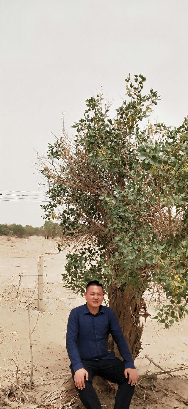 疆潮美食,全新疆的美食