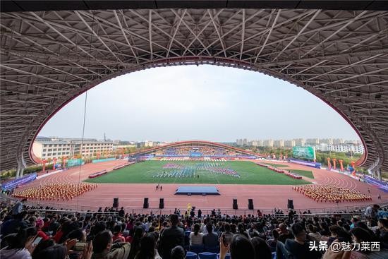 莱西第一届休闲体育大会,2019年莱西休闲体育大会