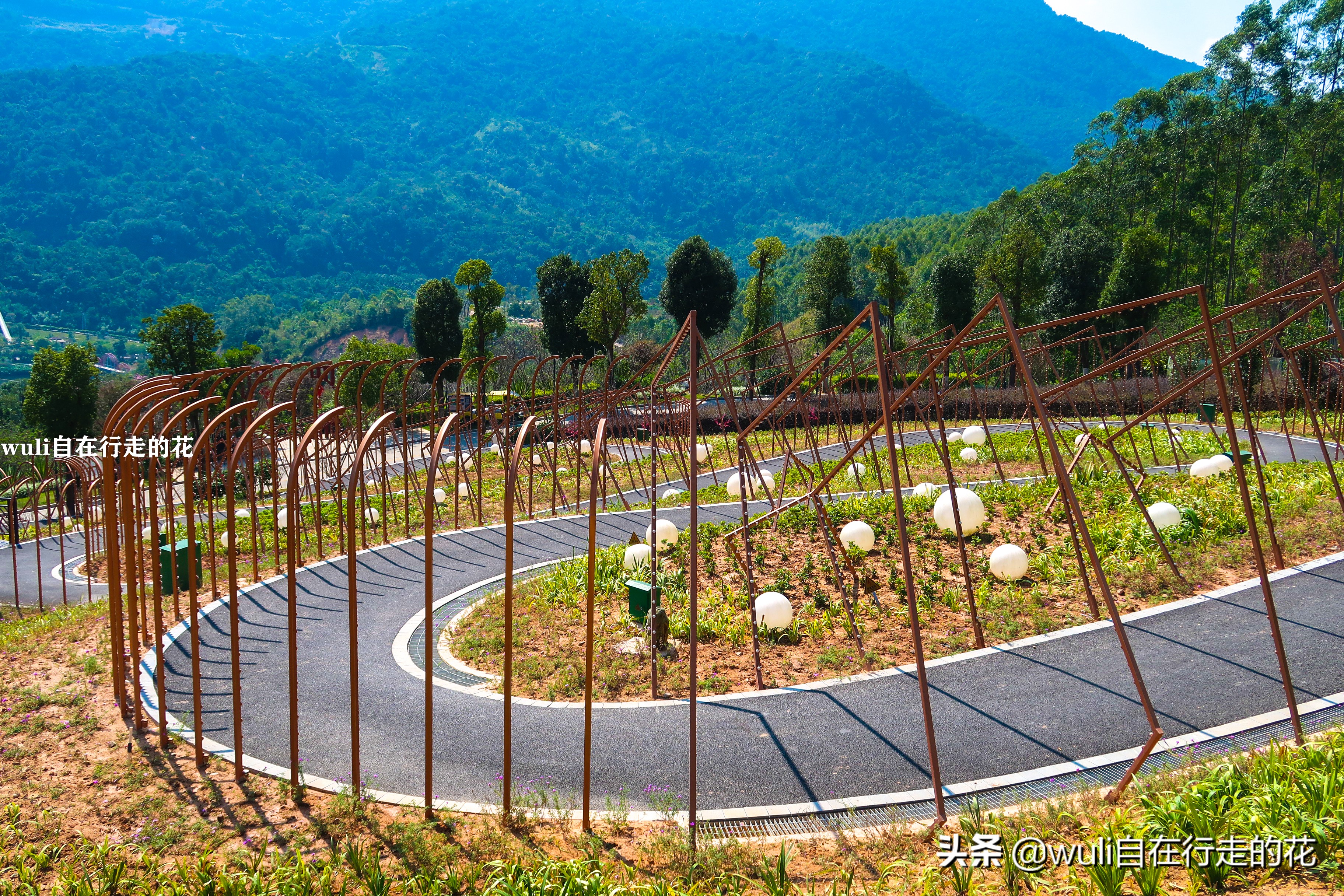 长泰县十里蓝山,漳州长泰十里蓝山攻略