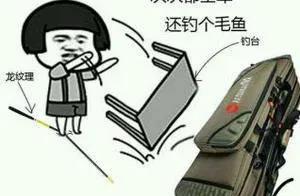 新手入坑鱼竿怎么选择最好,新手钓友应该入手哪种鱼竿