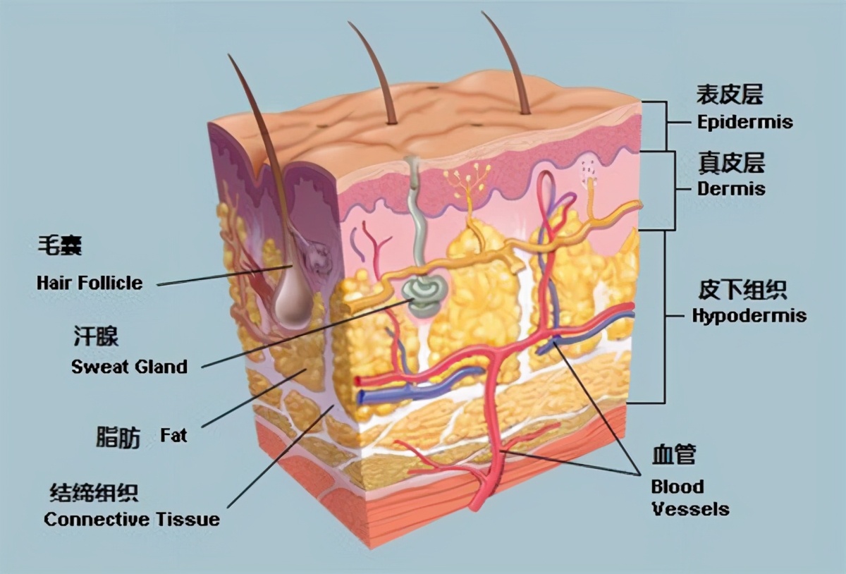 疏通毛孔堵塞的方法,卸妆油三合一深层清洁毛孔堵塞