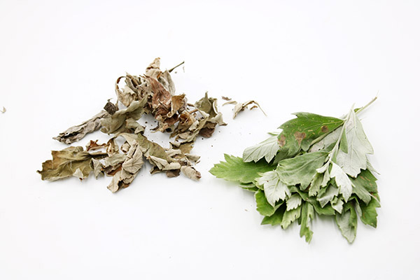 女性朋友都要知道的卫生巾常识,长期使用卫生巾好还是换牌子好