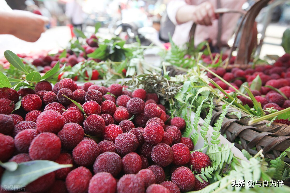 泡杨梅酒的正确做法,教你泡杨梅秘诀