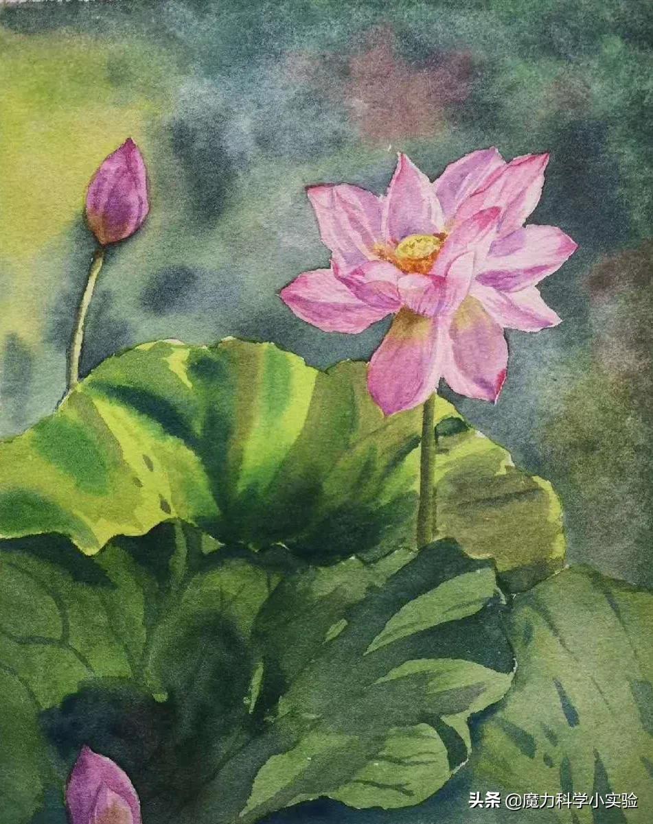 vlog我的日常从幼稚到成熟,vlog小时候的生活记忆