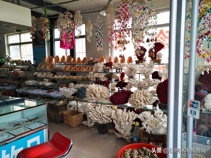 日照赶海之旅,日照冬季赶海旅游去哪里最好