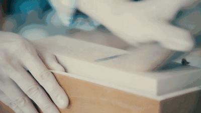 力压法棍和黑面包的世界最硬食物,柴鱼到底是个啥?(菲李漫画)