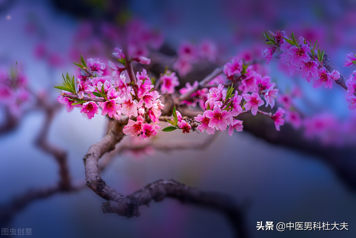 腿酸疼软无力容易疲劳是哪种肾虚,腰膝酸软腿无力是肾虚的表现吗