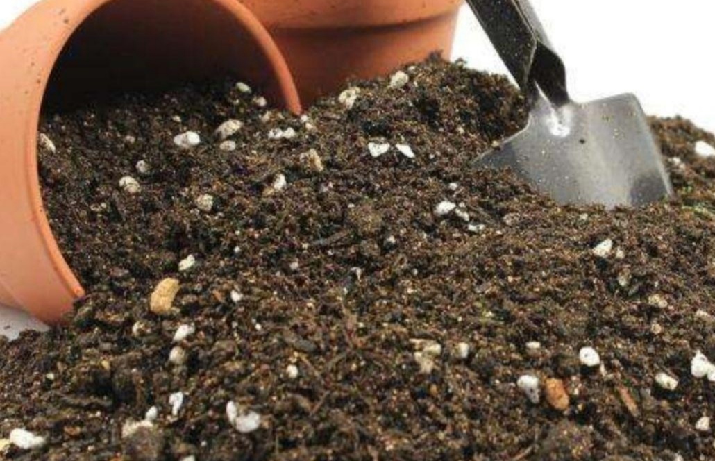 养啥花都好使不花钱的营养土,营养土哪种最好养