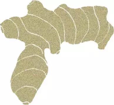 烹饪菜肴用的香辛料,料理必备调味料