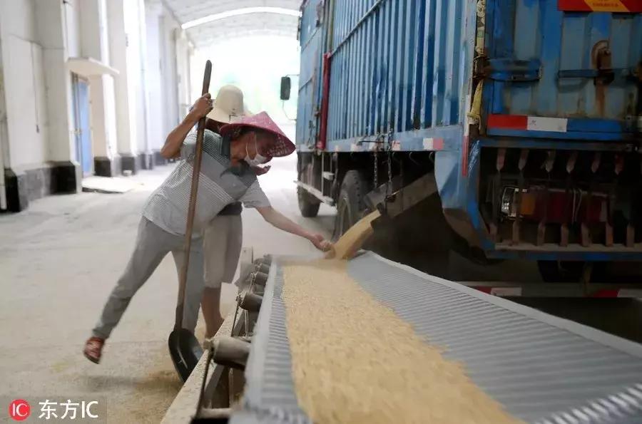 柯洁成就围棋史上最年轻七冠王,柯洁成为围棋八冠王第一期