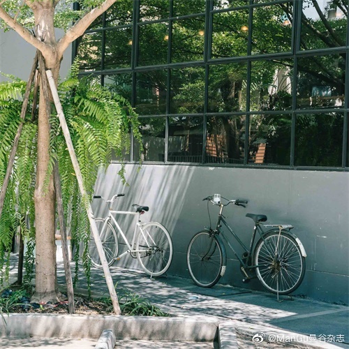 去泰国最好喝的咖啡,曼谷手冲咖啡