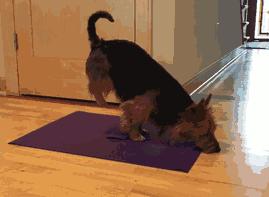 搞笑gif妹子这手速老厉害了,搞笑gif开心一刻不按常理出牌