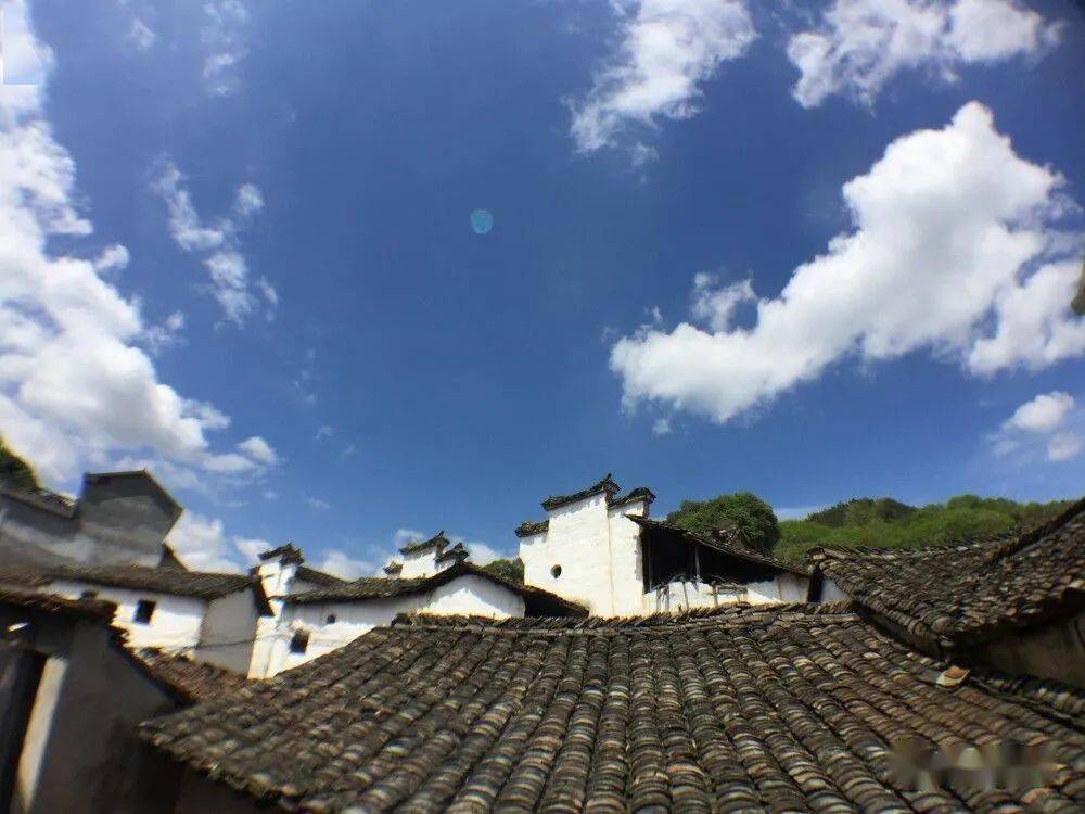 《太平广记》志怪故事：猿夫人的袁氏物语