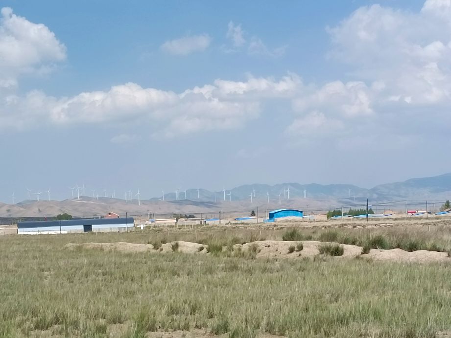 电商直播带货培训班讲话,电商直播带货培训技巧文案