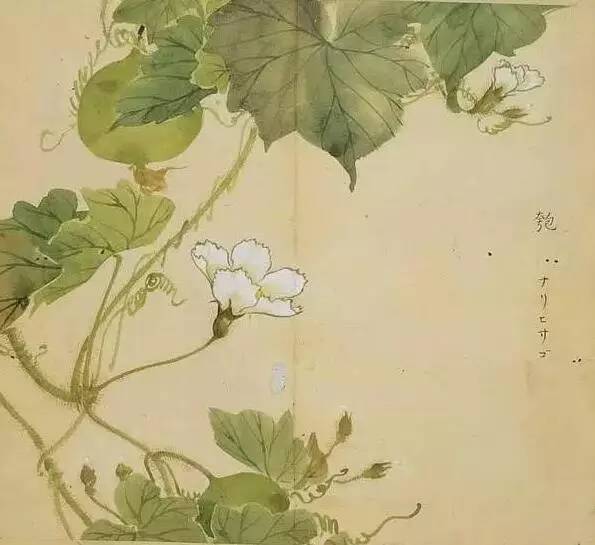 五千年来最美的20首诗,100首美到窒息的诗句