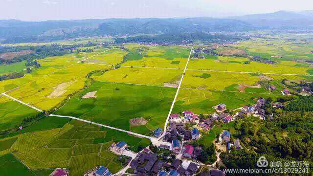 新型精准扶贫农业发展模式,农业扶贫致富新模式