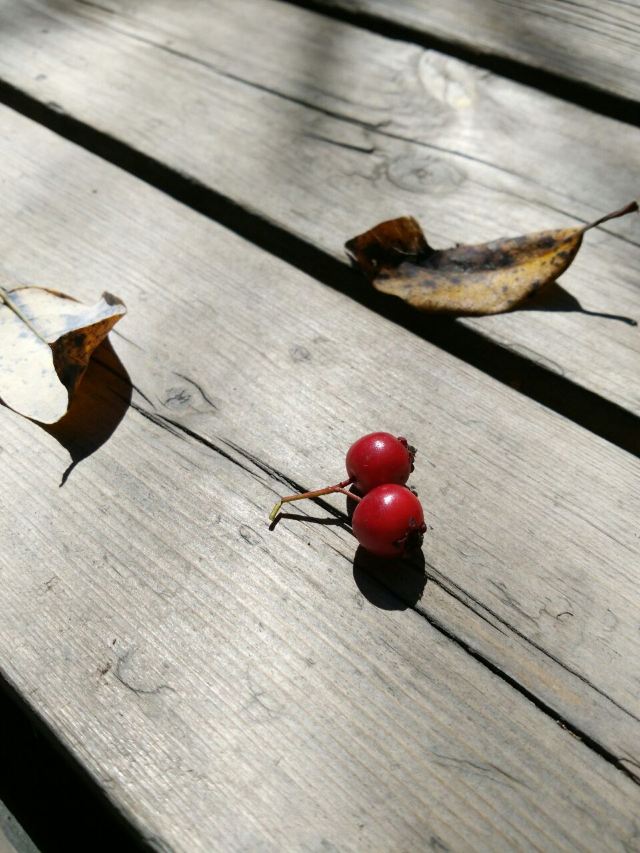 孟达天池风光拍摄,孟达天池适合旅游吗