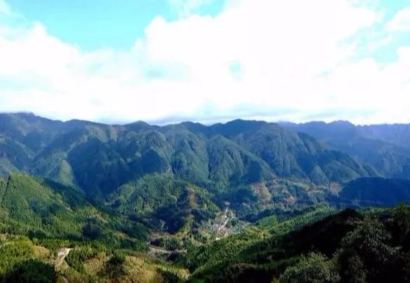 瑞安圣井左舍精品民宿,温州瑞安归园溪民宿