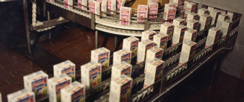 pascual西班牙酸奶,pascal西班牙