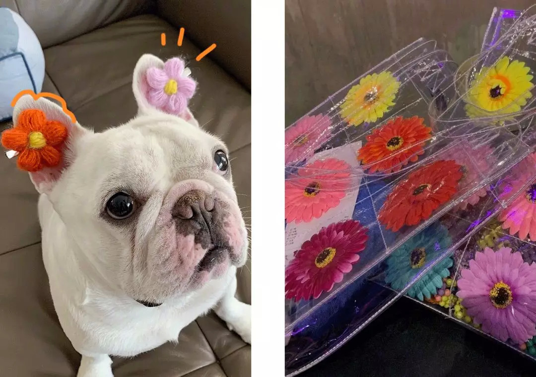 贫民窟女孩也可以get的明星同款,欧阳娜娜周雨彤同款外套