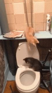 上厕所没有厕纸只能用绳子,上厕所没有卫生纸能用吗