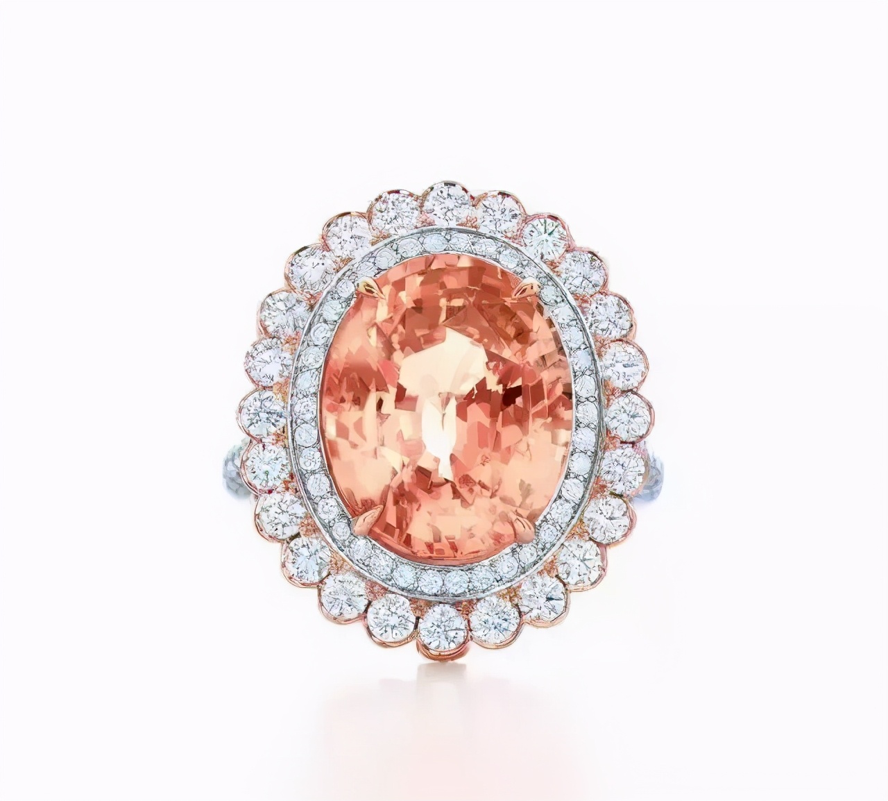 帕帕拉恰介绍,正统帕帕拉恰