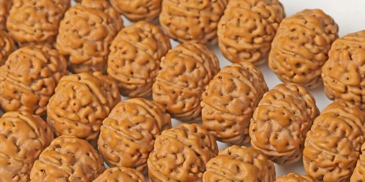 小金刚菩提子各种纹路图片,小金刚菩提的纹路有哪些