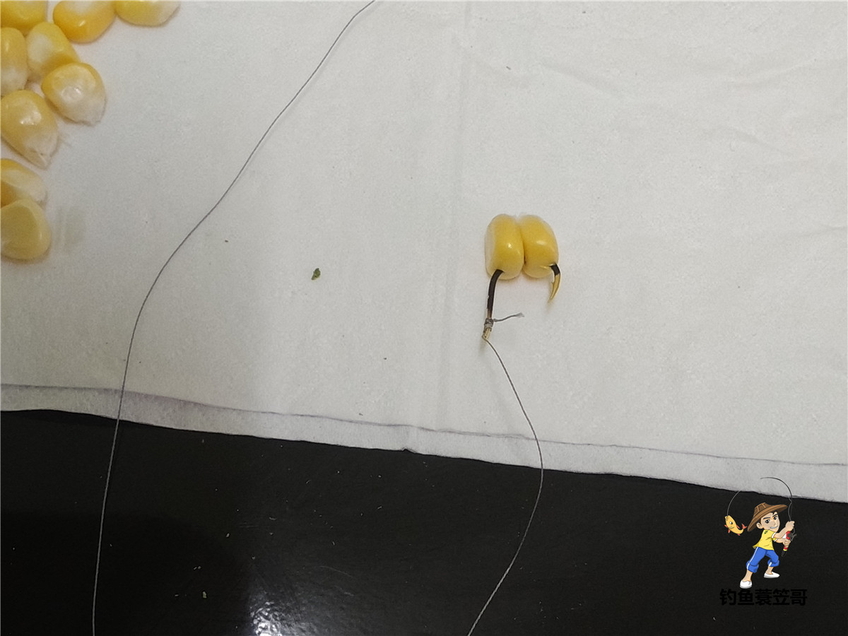 老坛玉米怎么挂钩容易中鱼,玉米钓鱼什么挂法最实用