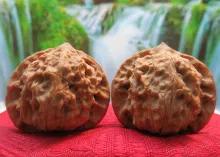 文玩品鉴视频,广善文玩精品文玩核桃