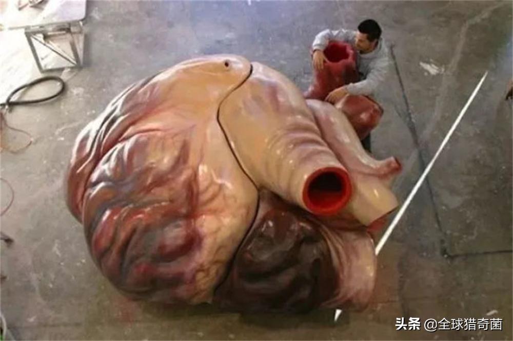 word一般字体大小是多少,word字体大小是多少