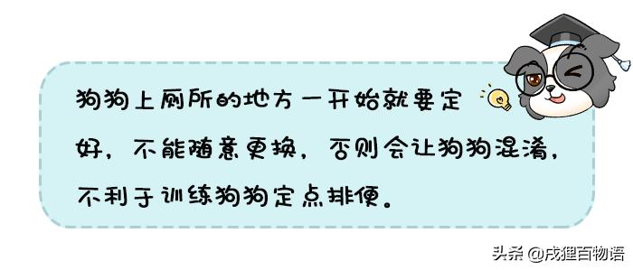 怎么解决狗狗在屋内随地乱拉,狗狗乱拉最好最简单方法