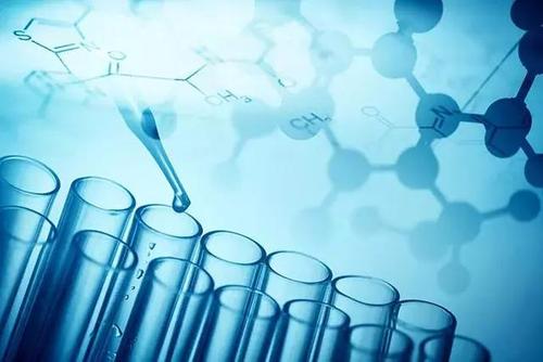 刚出生小孩区分不了性别,生小孩性别是怎么决定的