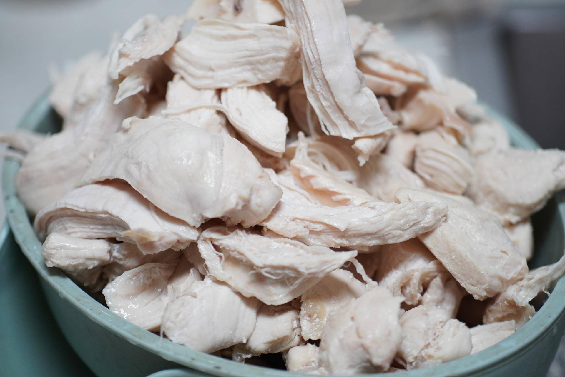 猫主子的猫砂怎么选,喵星人的食物有哪些