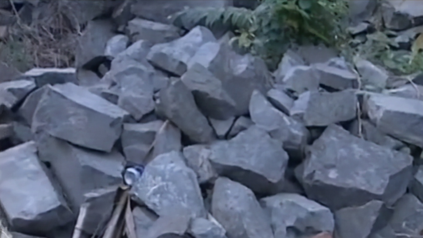 毒蝎进村的真实事件,毒蝎进村的真实原因