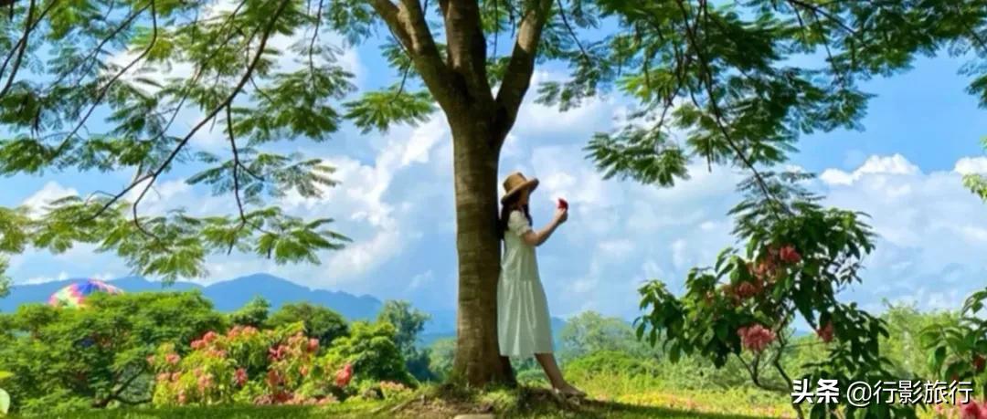 云南的西双版纳州怎么样,云南西双版纳景区怎么样