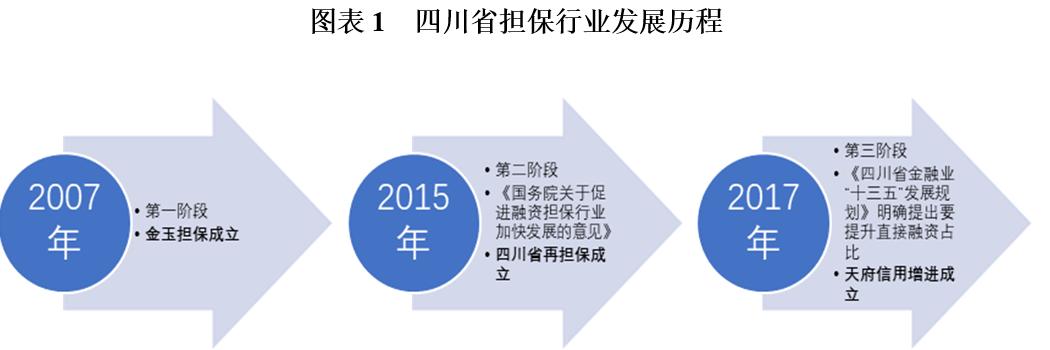 担保公司运营情况汇报材料,担保公司担保项目案例