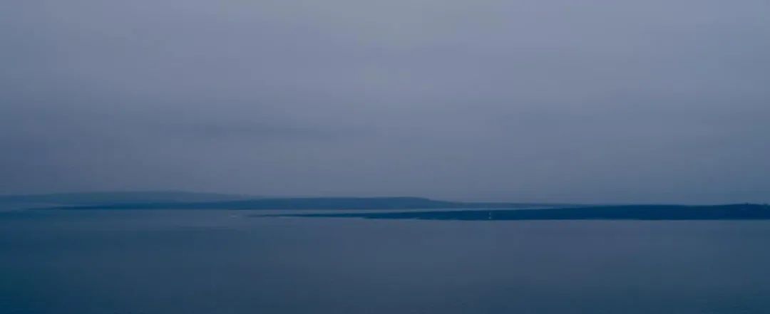 飞鸟越过珊瑚海,飞鸟越过山林