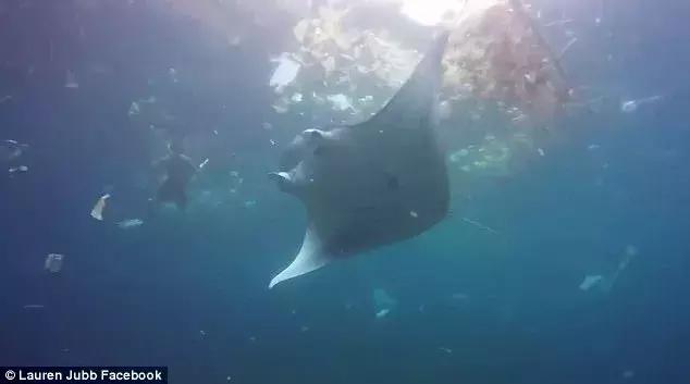 巴厘岛最垃圾的海滩,巴厘岛度假胜地