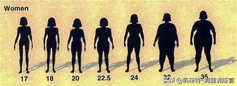 女生练出轻微马甲线体脂率多高,女性体脂率多少能够练出马甲线