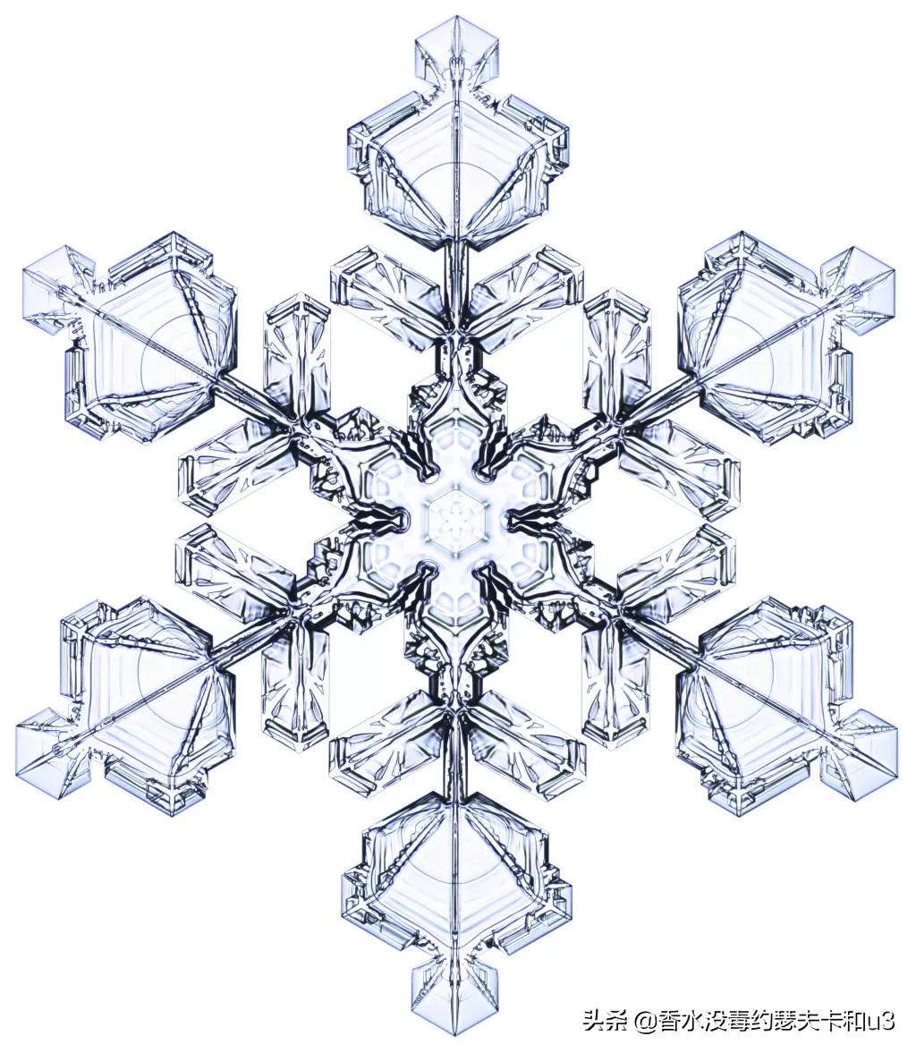 芦丹氏冷门香,冬日不撞香就靠它