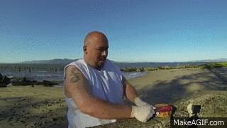 什么鱼籽营养最好,什么鱼籽都有营养